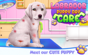 Labrador Puppy Day Care screenshot 0