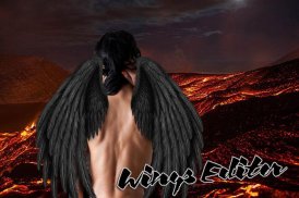 Wings Photo Editor screenshot 2