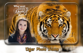 Tiger Photo Frames screenshot 3