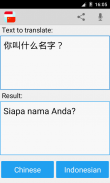 Indonesian chinese translator screenshot 3