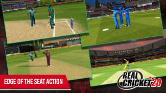 Real Cricket™ 20 screenshot 1