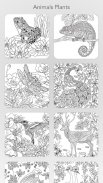 Garden Coloring Book screenshot 9