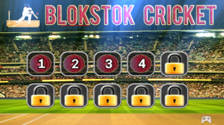 Blokstok Cricket screenshot 7