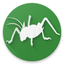 Bugs of New Zealand Free Icon