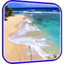 Waves on Beach Live Wallpaper Icon