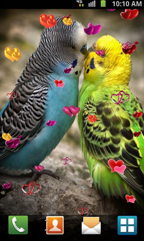 Love Birds Live Wallpaper - APK Download for Android | Aptoide