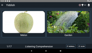 Yiddish Language Tests screenshot 20