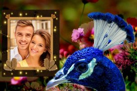 Peacock Photo Frames screenshot 5