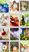 butterfly photo frame effect screenshot 1