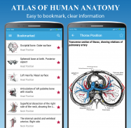 Human Anatomy Atlas - Anatomy Learning 2021 screenshot 2