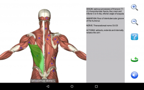 Visual Anatomy Free screenshot 5