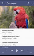 Canto Guacamayo screenshot 2