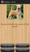 Dog Breeds screenshot 4