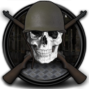 Medal Of Valor 3 Zombies - WW2 Icon