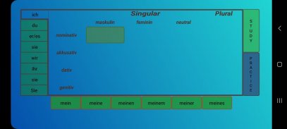 Possessivpronomen screenshot 1