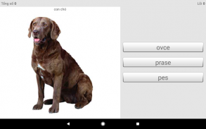 Học từ vựng tiếng Séc với Smart-Teacher screenshot 3
