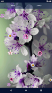 Spring Flowers Live Wallpaper screenshot 3