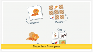 Learn Dutch With Amy for Kids screenshot 10