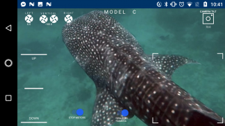 Blue Dot ROV Mobile App screenshot 1