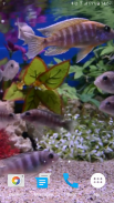 Aquarium Video Wallpaper screenshot 5