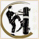 Wing Chun Technique