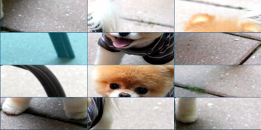 Dogs parts screenshot 2