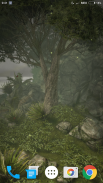 Forest Live Wallpaper screenshot 0
