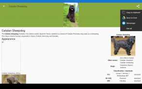 Dog breeds - Smart Identifier screenshot 6
