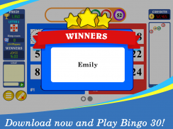 Bingo Thirty™ - Free Bingo 30 Game screenshot 1