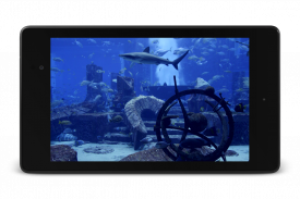 Aquarium Video Live Wallpaper screenshot 11