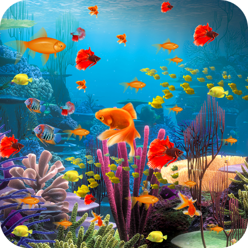 How To Set Fish Wallpaper ? machali wala live wallpaper kaise lagaen -  YouTube