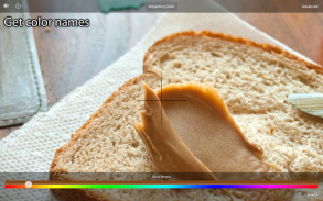 Color Blind Pal screenshot 5