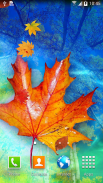 Autumn Leaves Live Wallpaper screenshot 4