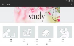 Apostolic Faith screenshot 6
