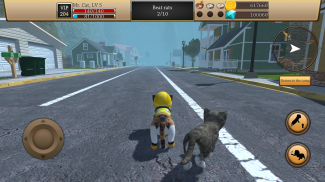 Simulator Kucing - Hewan screenshot 3