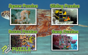 Free Under the Sea Puzzles screenshot 2