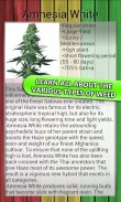 MyWeed - Grow your Cannabis screenshot 6