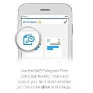 SAP Fieldglass Time Entry screenshot 0