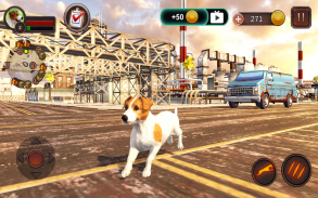 Jack Russell Terrier Simulator screenshot 15