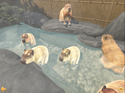 Capybara Zoo screenshot 1