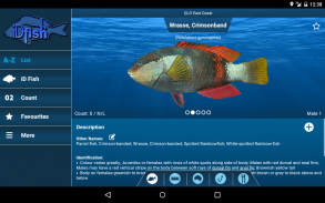 iDfish screenshot 4