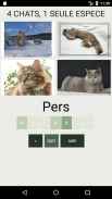 Quiz de culture générale sur les chats screenshot 3