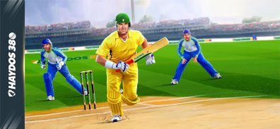 Haydos 380: Cricket Game screenshot 5