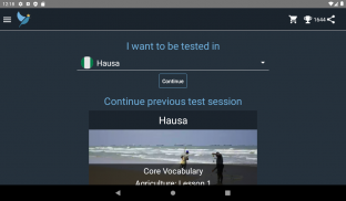 Hausa Language Tests screenshot 4