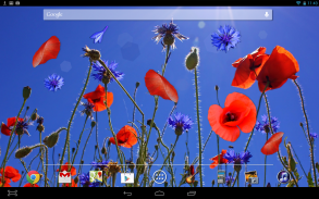 Poppies flowers LWP screenshot 2