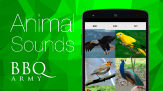 Animal Sounds (Bird,Dog,Cat) screenshot 3