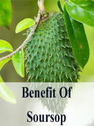 Benefits of Soursop screenshot 1