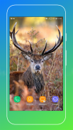 Deer Wallpapers screenshot 10