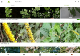 Pl@ntNet plantenidentificatie screenshot 10