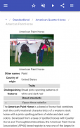 Races de chevaux screenshot 5
